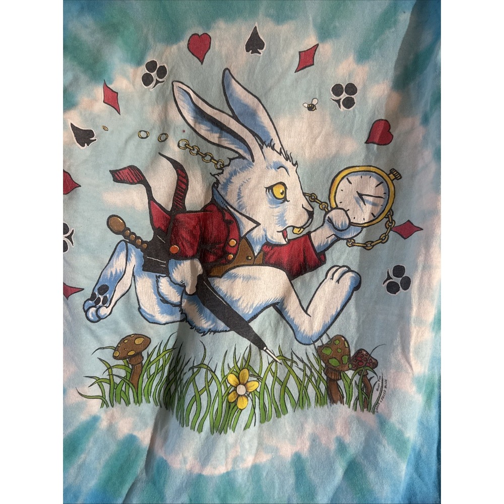 Vtg 2003 Liquid Blue Alice In Wonderland Tie Dye Shirt Brian Fox Caterpillar M - Picture 4 of 16